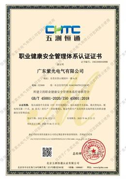 ISO職(zhi)業(ye)健康安(an)全管(guan)理(li)體系(xi)認(ren)證(zheng)證(zheng)書