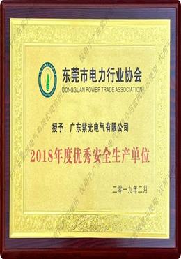 東莞市電(dian)力(li)行(xing)業(ye)協(xie)會優秀安全生(sheng)產(chan)單(dan)位