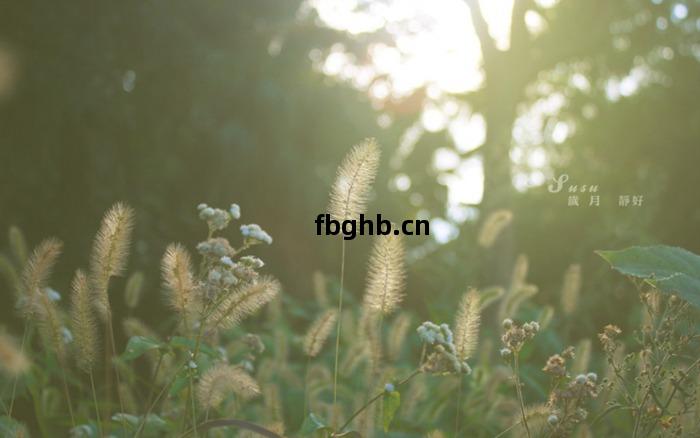 自(zi)強(qiang)不息，不負(fu)青(qing)春(chun)，不負(fu)紫(zi)光(guang)