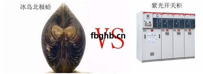 論(lun)長壽(shou)只服(fu)冰(bing)島北極蛤，選(xuan)高壓開關(guan)櫃認準(zhun)紫光(guang)電氣(qi)