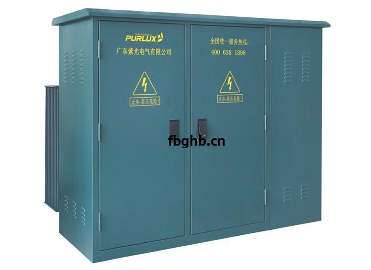 紫(zi)光(guang)電(dian)氣(qi)箱(xiang)式變(bian)電(dian)站(zhan)-美(mei)式(shi)箱(xiang)變