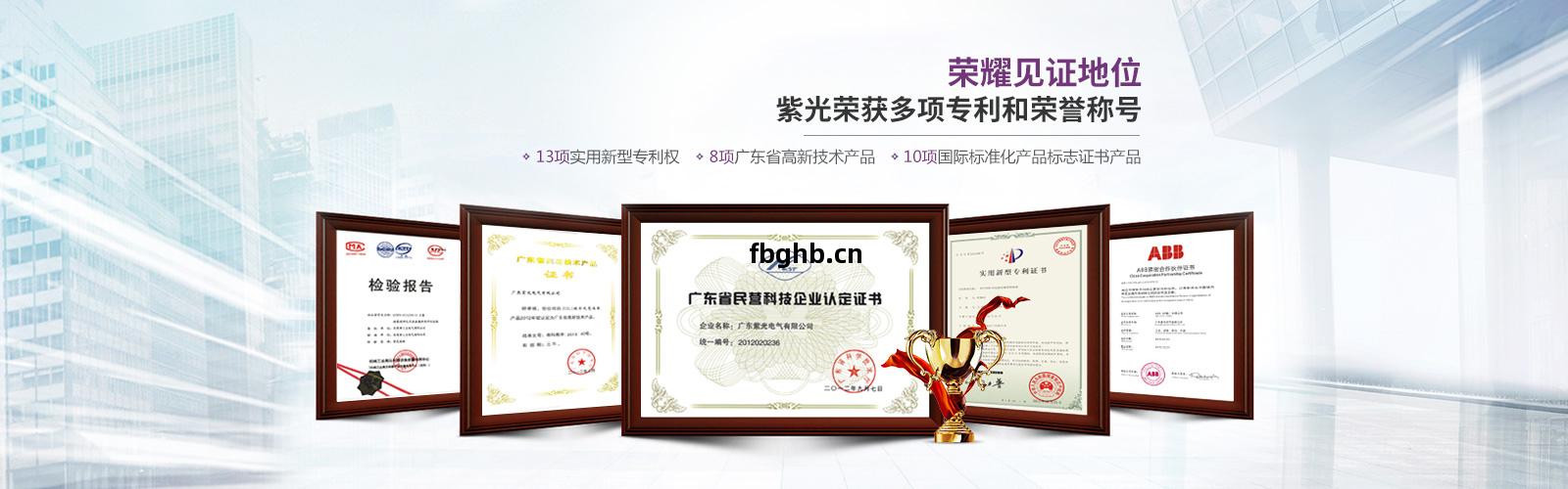 紫(zi)光(guang)資(zi)質