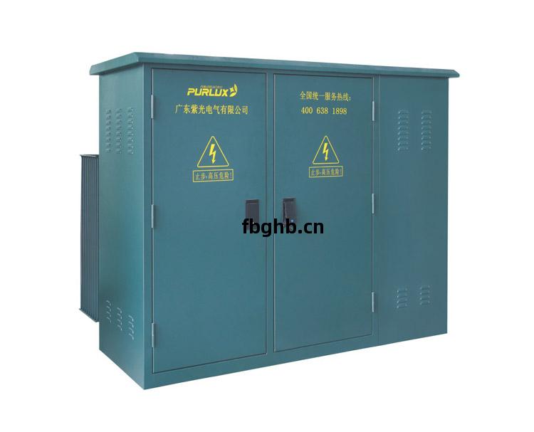 美(mei)式(shi)箱(xiang)式(shi)變電站(zhan)外觀