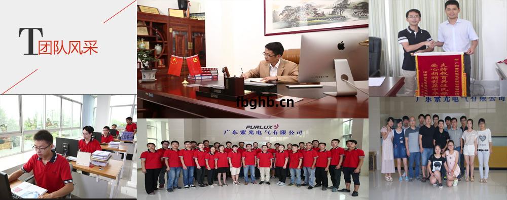 紫光(guang)團(tuan)隊