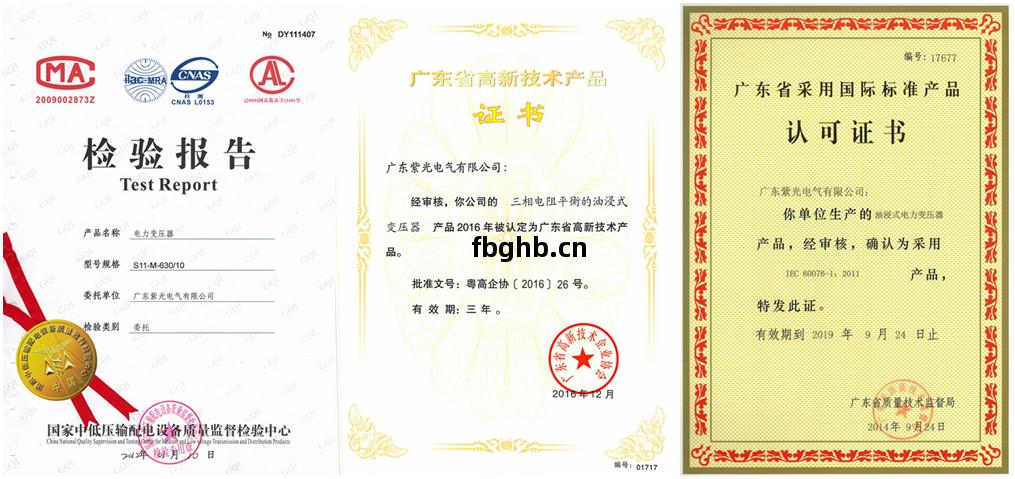 紫光(guang)電氣油(you)浸(jin)式(shi)變(bian)壓器(qi)資(zi)質證書(shu)