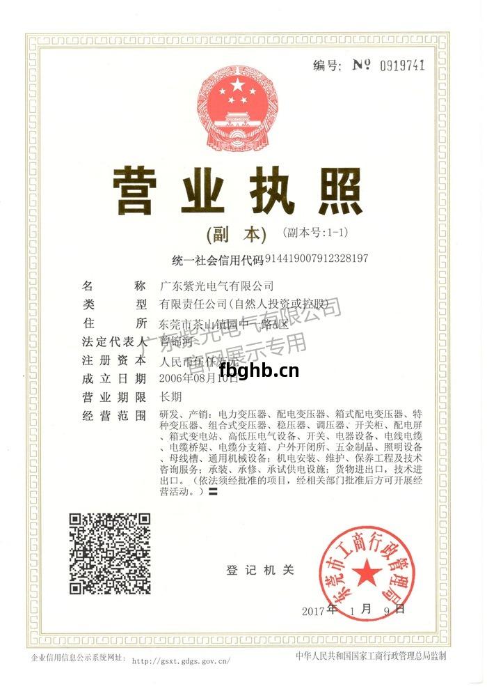 營業執照-紫(zi)光電(dian)氣